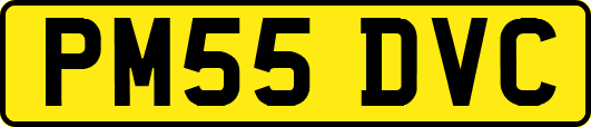 PM55DVC