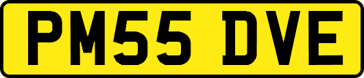 PM55DVE