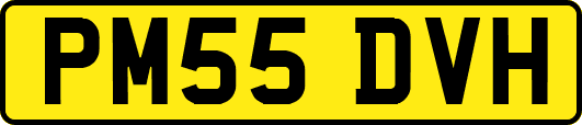 PM55DVH