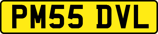 PM55DVL
