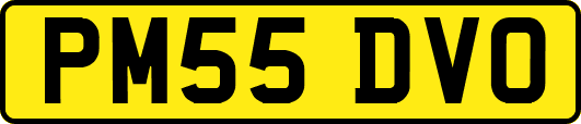 PM55DVO