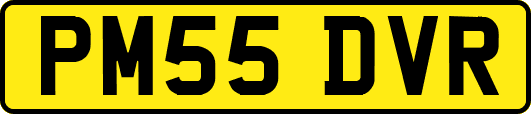 PM55DVR