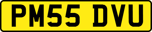 PM55DVU