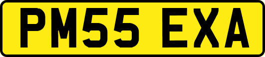 PM55EXA