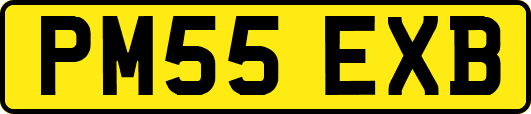 PM55EXB