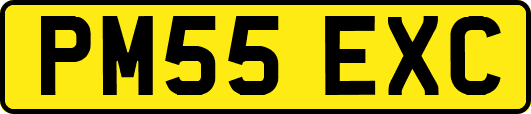 PM55EXC