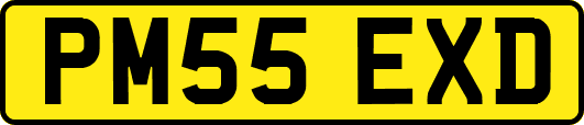 PM55EXD