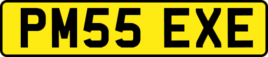 PM55EXE