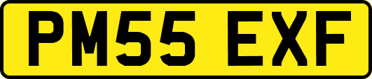 PM55EXF