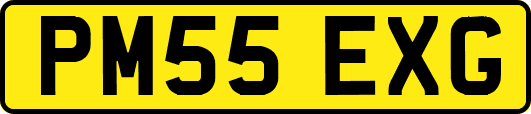 PM55EXG