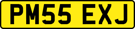PM55EXJ
