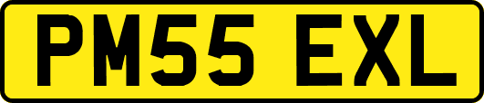 PM55EXL