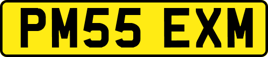 PM55EXM