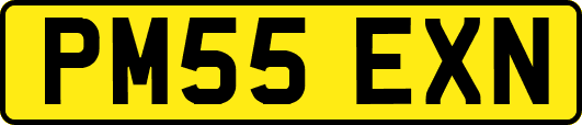 PM55EXN