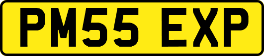 PM55EXP