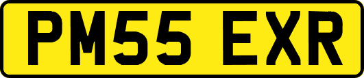 PM55EXR