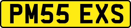 PM55EXS