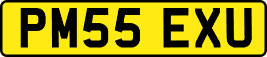 PM55EXU