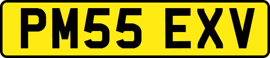 PM55EXV