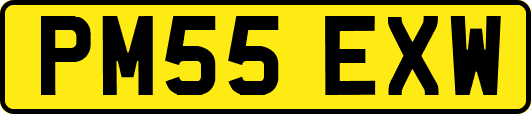 PM55EXW