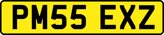 PM55EXZ