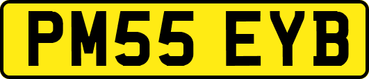 PM55EYB