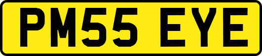 PM55EYE