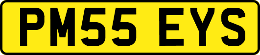 PM55EYS