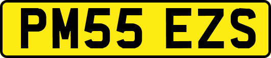 PM55EZS
