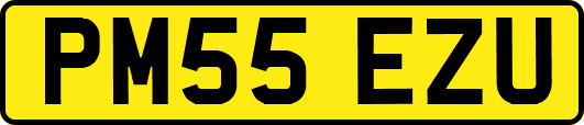 PM55EZU