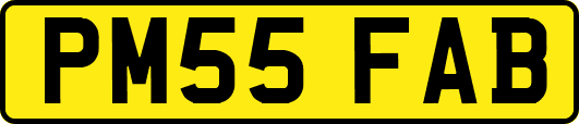 PM55FAB