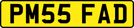 PM55FAD