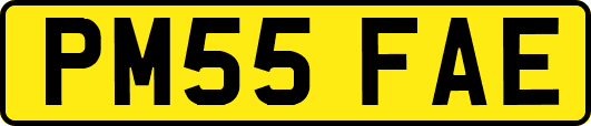PM55FAE