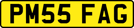 PM55FAG