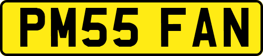PM55FAN