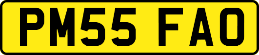 PM55FAO