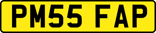 PM55FAP
