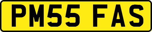 PM55FAS