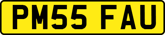 PM55FAU