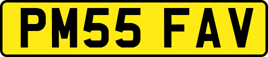 PM55FAV