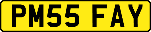 PM55FAY