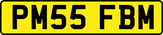 PM55FBM
