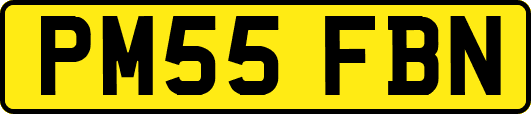 PM55FBN