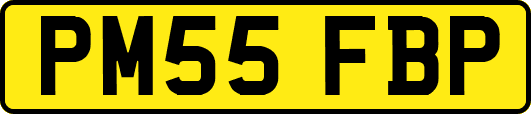PM55FBP