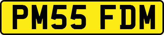 PM55FDM