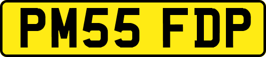 PM55FDP