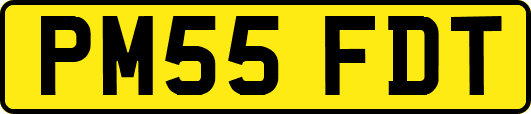 PM55FDT