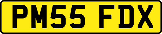 PM55FDX