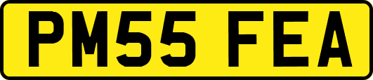 PM55FEA