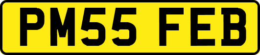 PM55FEB
